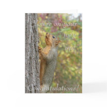 Estás en camino hacia arriba