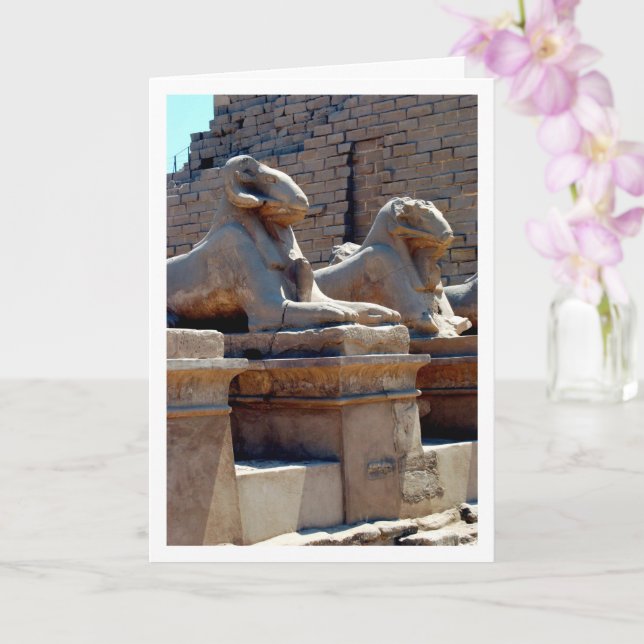 Tarjeta Estatuas Crio-Sphinx En El Templo Karnak, Luxor, E (Orquídea)