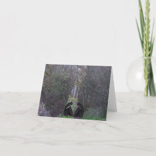 Tarjeta Estatuas En El Bosque