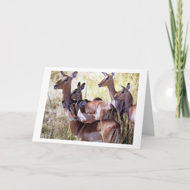 TARJETA ESTE GRUPO DE DEER TE ENVÍA LOS DESEOS DE CUMPLEAÑ (Anverso)