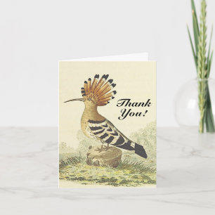 Tarjeta Estilo Vintage, Ave, "¡Gracias!"