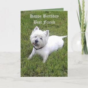 Tarjeta Estimado amigo del feliz cumpleaños