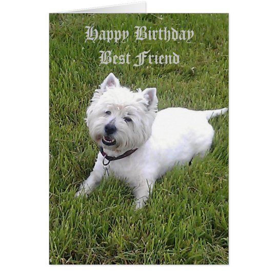 Tarjeta Estimado amigo del feliz cumpleaños