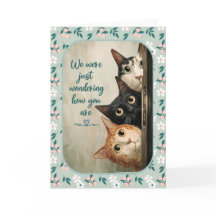 Estimulación Felina Pensando en Ti