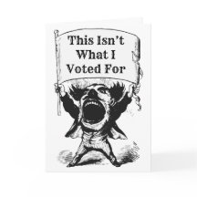 Esto no es por lo que voté