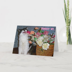 Tarjeta Estornudando a Kitty Allergic para obtener flores 
