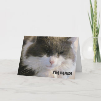 Tarjeta ¡Estoy loco! Que perdí tu gato de cumpleaños