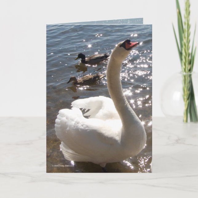 Tarjeta Estrella brillante (Anverso)