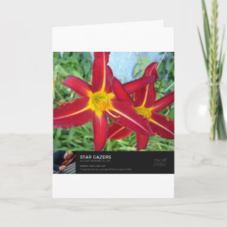 Tarjeta Estrella de Belén