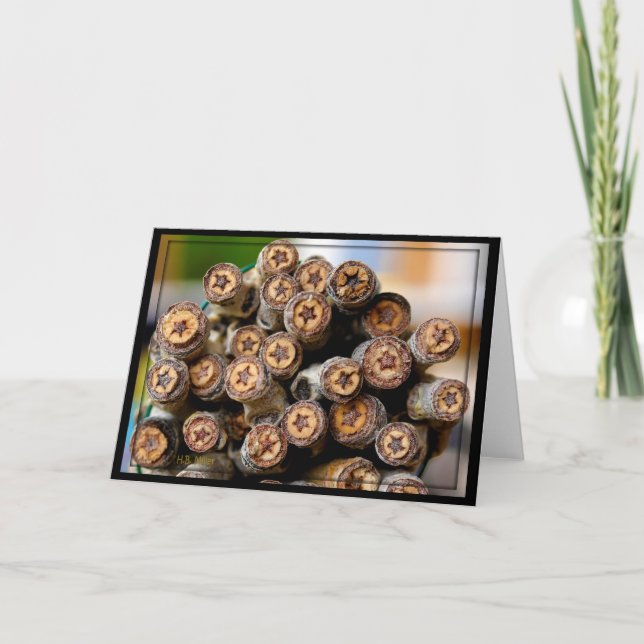 Tarjeta Estrellas a lo largo de los bosques de algodón de  (Anverso)