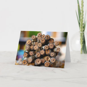 Tarjeta Estrellas a lo largo de los bosques de algodón de 