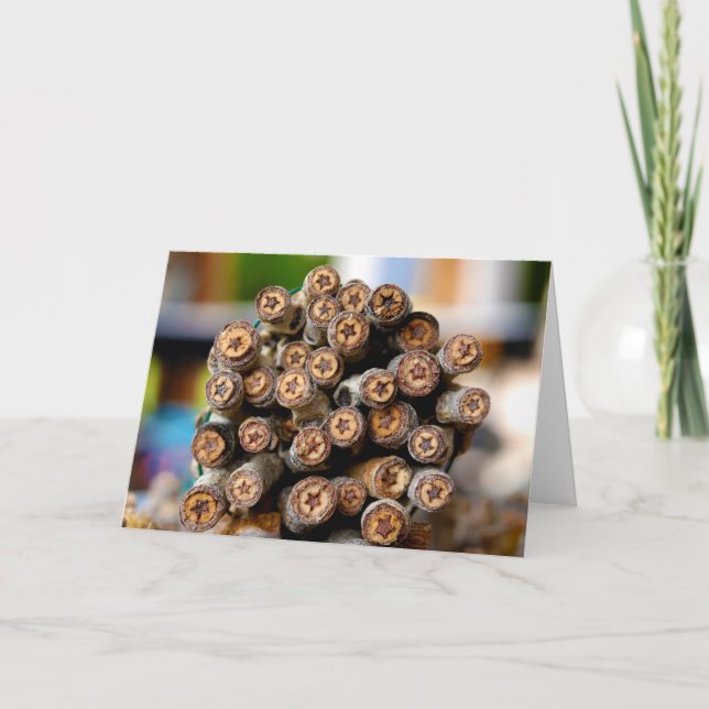 Tarjeta Estrellas a lo largo de los bosques de algodón de  (Anverso)