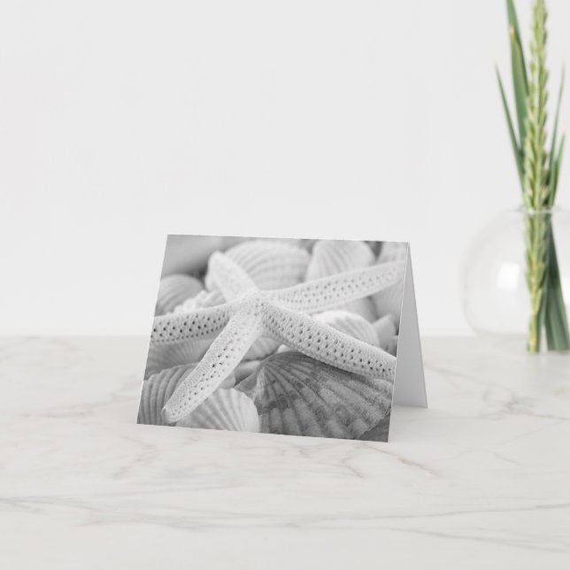 TARJETA ESTRELLAS DE MAR Y SEASHELLS NOTECARD BLANCO Y (Anverso)