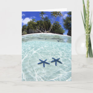 Tarjeta Estrellas marinas, Islas rocosas, Palau 2