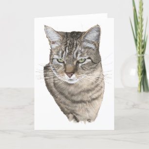 Tarjeta Estudio de cabeza de gato atigrado Saludo