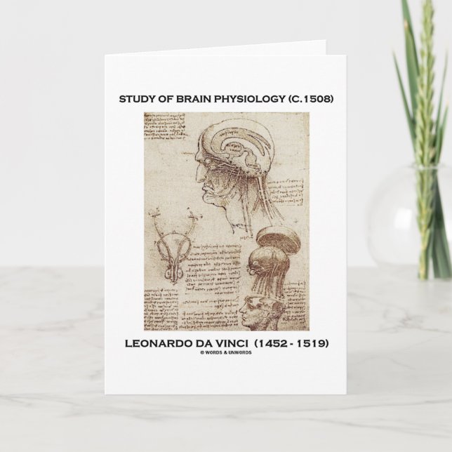 Tarjeta Estudio De Fisiología Cerebral (Leonardo da Vinci  (Anverso)