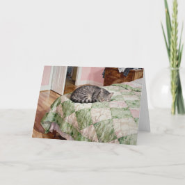 Tarjeta Estudio de gato atigrado gris en acuarelas