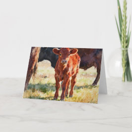 Tarjeta Estudio de ternero Red Angus A en acuarela