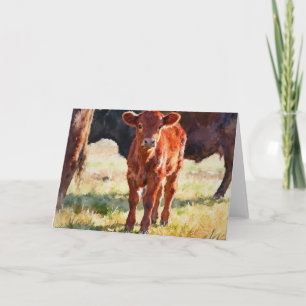 Tarjeta Estudio de ternero Red Angus A en acuarela