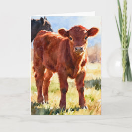Tarjeta Estudio de ternero Red Angus C en acuarela