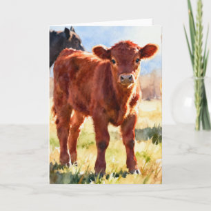 Tarjeta Estudio de ternero Red Angus C en acuarela