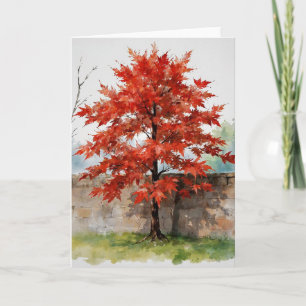 Tarjeta Estudio del Arce Japonés Rojo