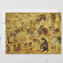 Estudios de animales: burros, monos, gatos y perro