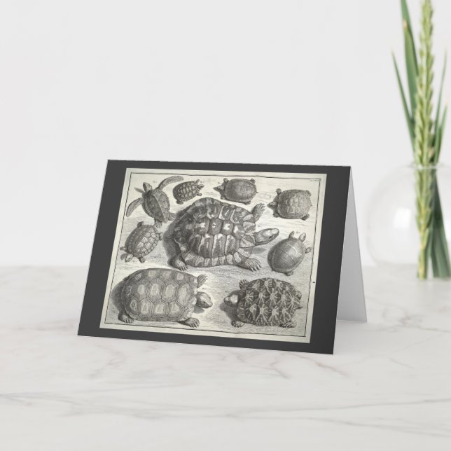 Tarjeta Etching De Tortuga Vintage (Anverso)