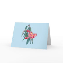 Eucalyptus (Corymbia ficifolia) sobre azul