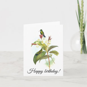 Tarjeta Eucephala caerulea (zafiro de mentón azul)