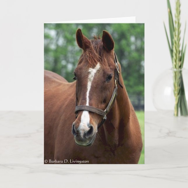 Tarjeta Exactamente tan retrato (Anverso)