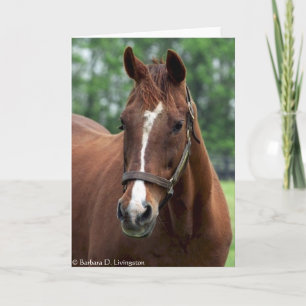 Tarjeta Exactamente tan retrato