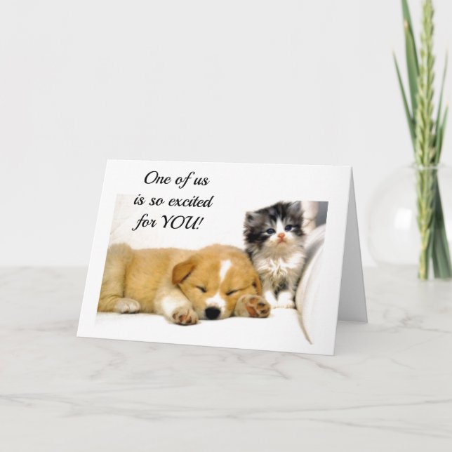 TARJETA ***EXCITED KITTEN*** POR OBTENER LA LICENCIA DEL C (Anverso)