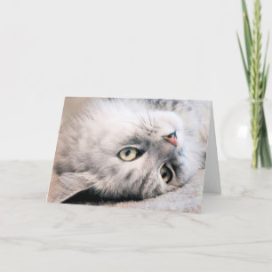 Tarjeta Experimenta tu cumpleaños como un gato
