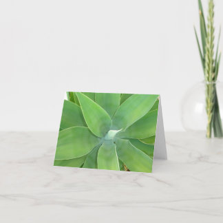 Tarjeta Explosión del verde