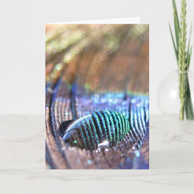 Tarjeta expuesta (Anverso)