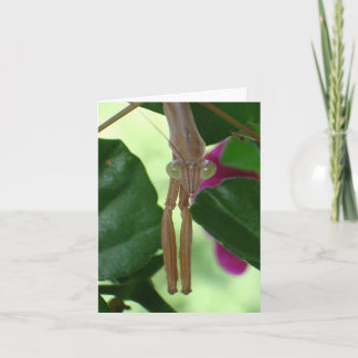 Tarjeta Exterminator Notecard