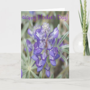 Tarjeta F0018 Flores silvestres púrpuras Lupino anual