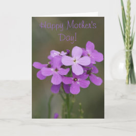 Tarjeta F19 Cohetes de flores violetas púrpura para damas