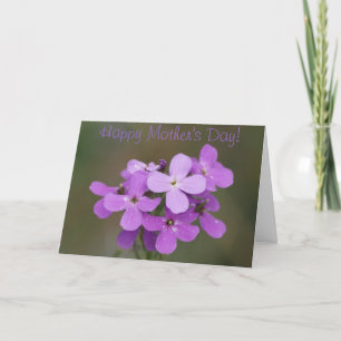 Tarjeta F19 Cohetes de flores violetas púrpura para damas