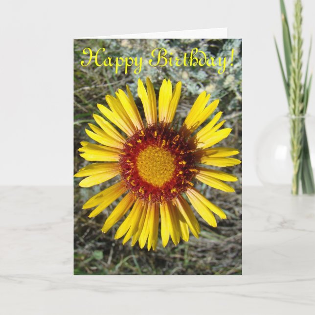 Tarjeta F1 Flor silvestre amarilla Gaillardia (Anverso)