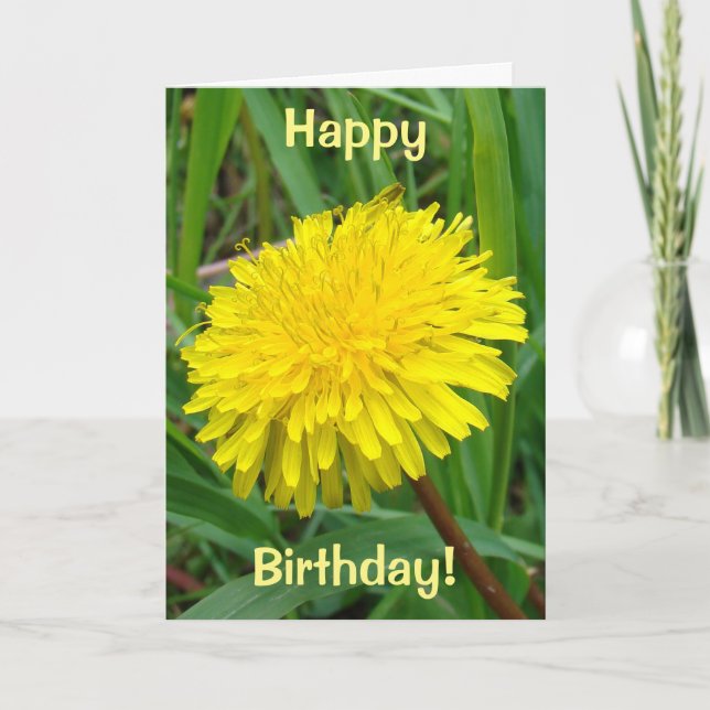 Tarjeta F45 Diente de león "Taraxacum officinale" (Anverso)