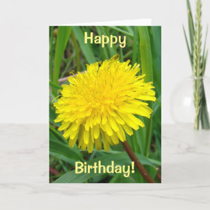 Tarjeta F45 Diente de león "Taraxacum officinale"