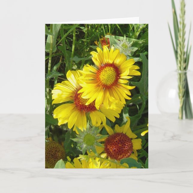 Tarjeta F6 Flores silvestres amarillas Gaillardia (Anverso)