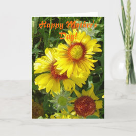 Tarjeta F6 Flores silvestres amarillas Gaillardia