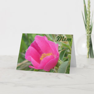 Tarjeta F7 Rosa salvaje