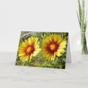 Tarjeta F8 Flores silvestres amarillas Gaillardia