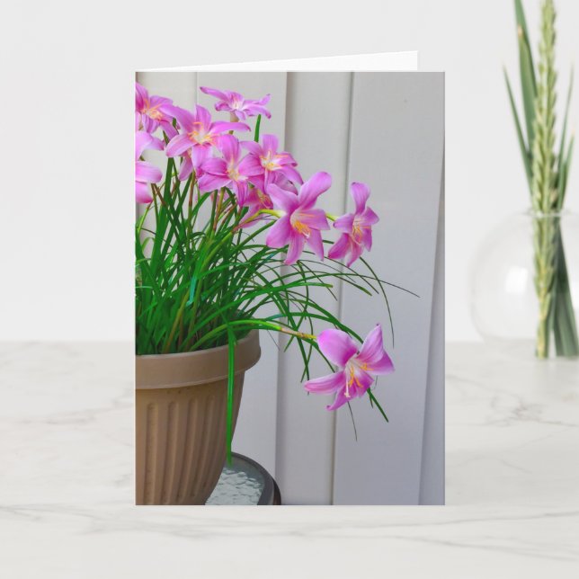 Tarjeta Fairy Lilies Original Still Life Card (Anverso)
