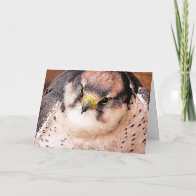TARJETA FALCON (Anverso)