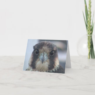 Tarjeta Falcon notecard